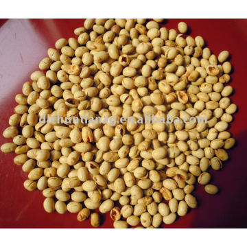 organic roasted soybean